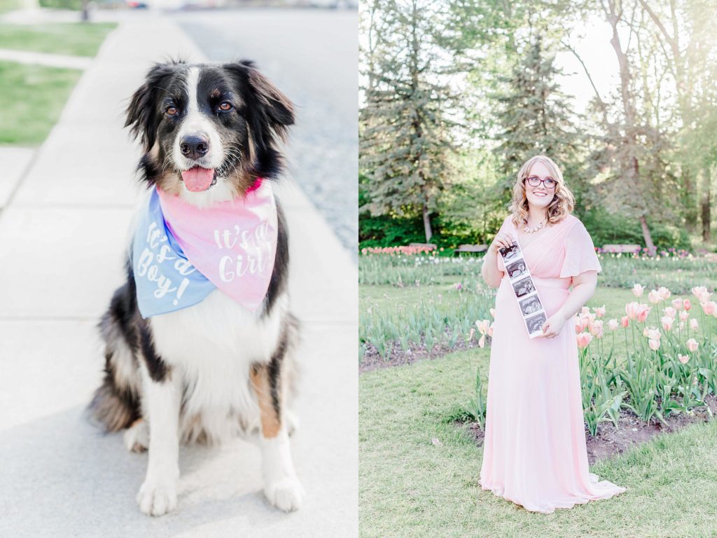 personal-baby-boy-girl-pregnant-gender-reveal