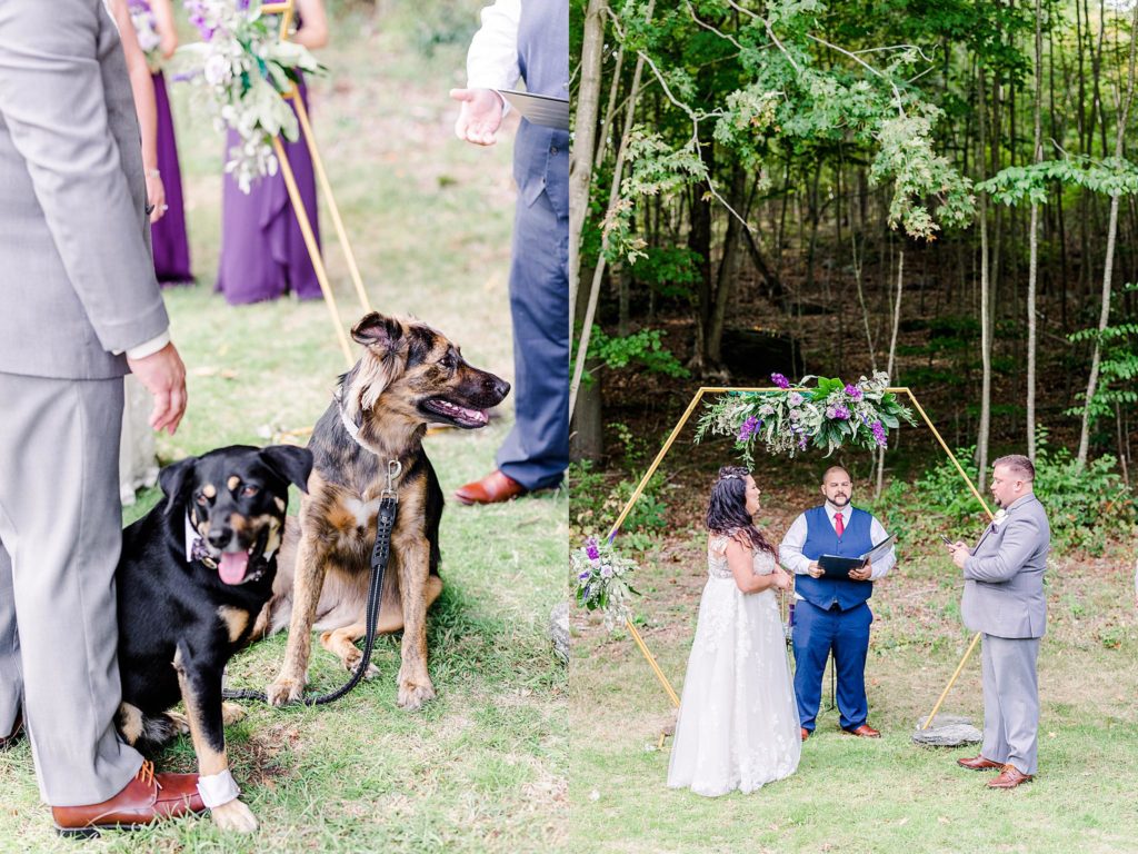 courtney-dan-wedding-bozrah-ct