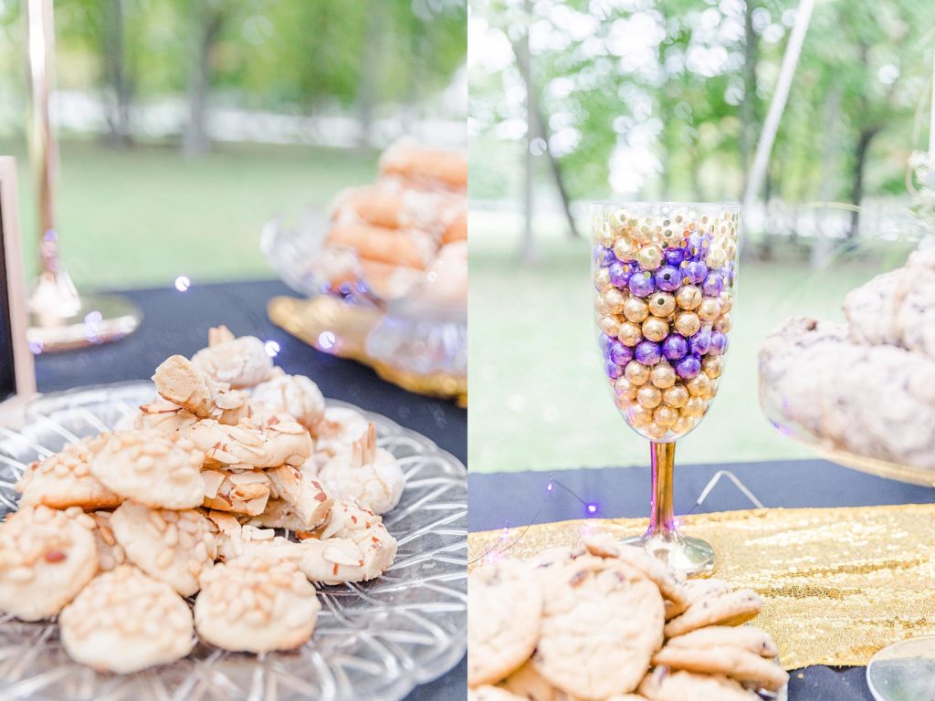 courtney-dan-wedding-bozrah-ct
